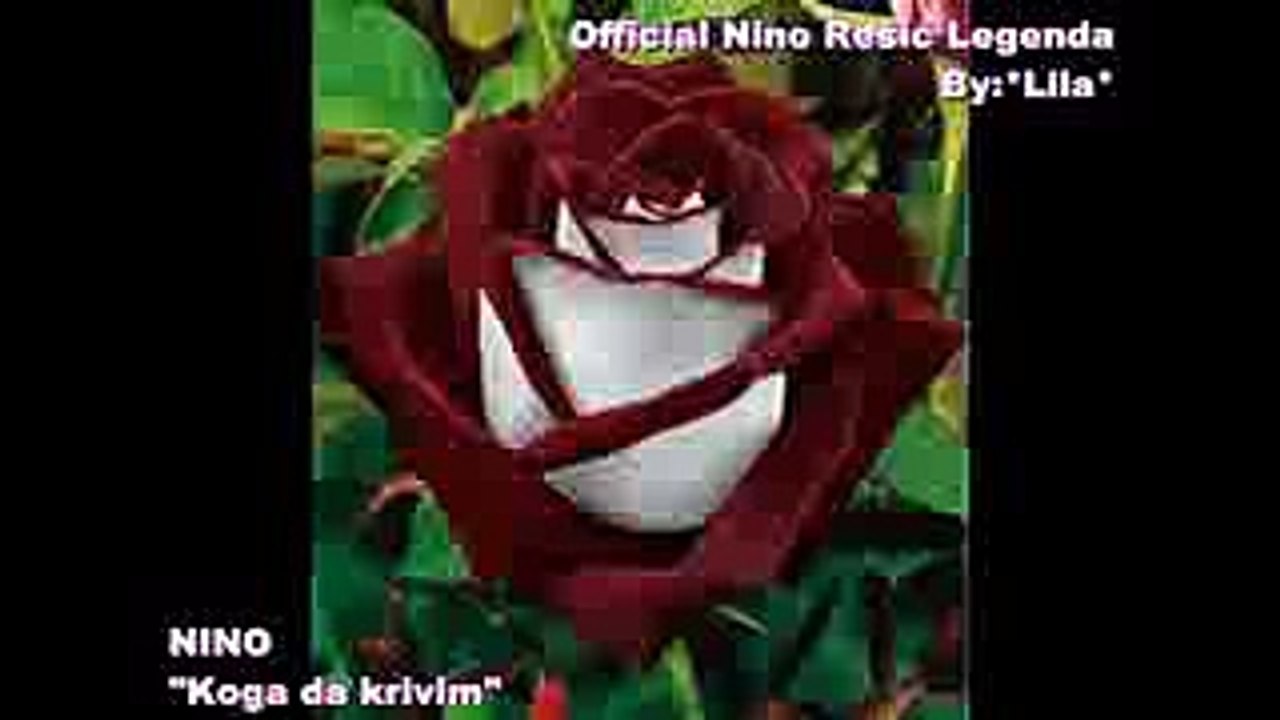 NINO REŠIĆ - KOGA DA KRIVIM