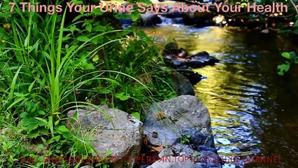 2947F5B2-0310-4171-B742-335021E2AA67