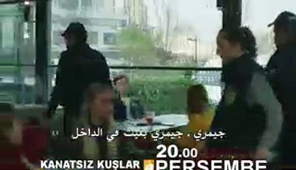 مسلسل طيور بلا أجنحة مترجم للعربية  اعلانات الحلقة 31