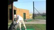 College golf recruiting video of Lars van Meijel fall 2012