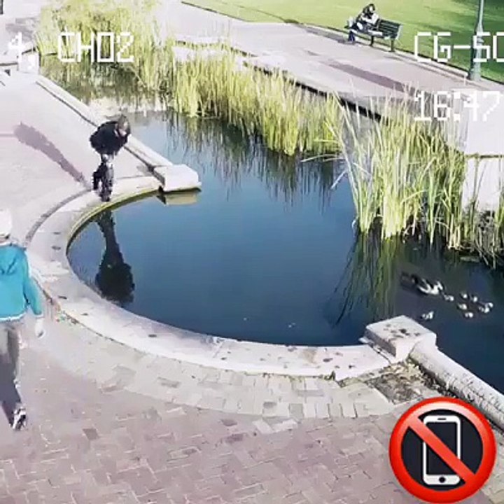 Amazing Funny videos 2018