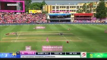 Bees swarm cricket match (full) - South Africa vs Sri Lanka