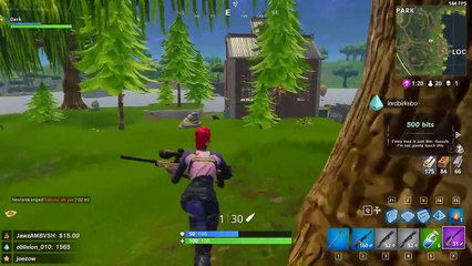 Fortnite #0371: "Peek-A-Boo"