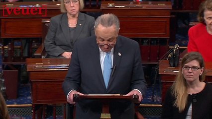 Chuck Schumer Squashes His Border Wall Proposal to Trump