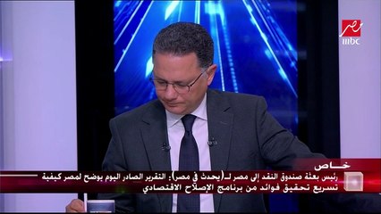 مكالمة رئيس بعثة صندوق النقد الدولي