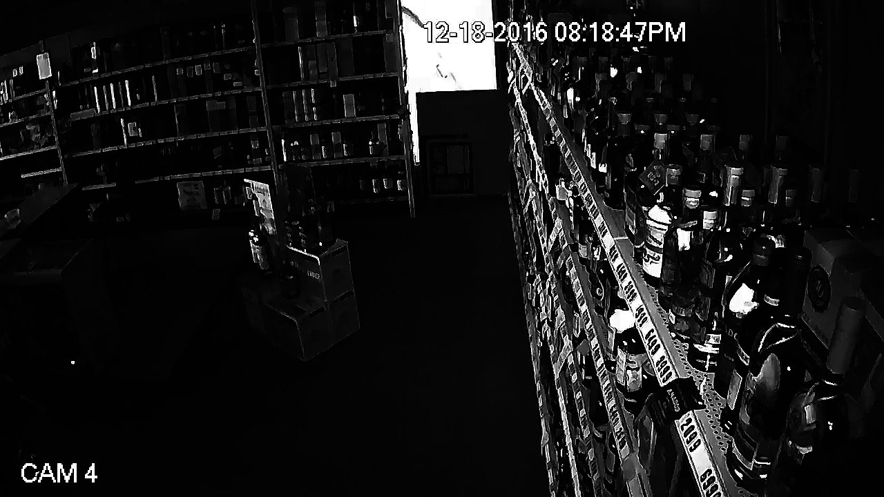 Rogue Raccoon Breaks into a Tennessee Liquor Store