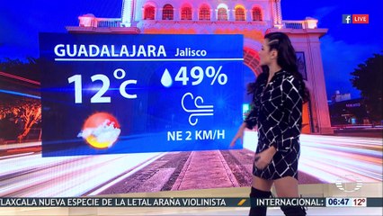 Susana Almeida 23 de Enero de 2018