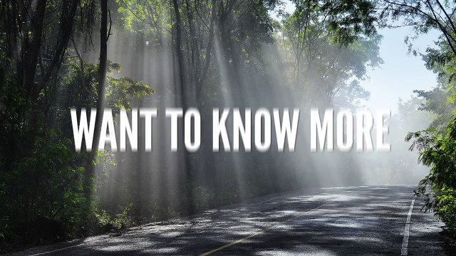 Expert Mold Removal Dade City FL 813-358-3766 TampaBayMold.net