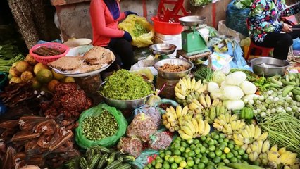 Battambang Province Cover by Khemarak SereyMon | Tour in Cambodia