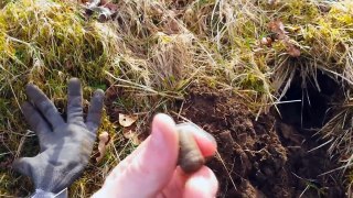 RING FOUND IN THE WOODS!! Metal Detecting