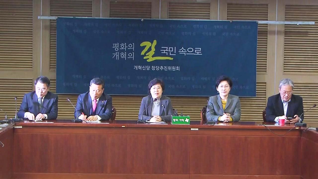 국민의당 통합 반대파, 신당 당명 '민주평화당'으로 결정 / YTN