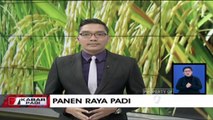 Menteri Pertanian Panen Raya Padi Di Bojonegoro