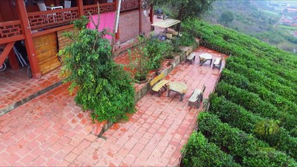 Moc Chau Arena Village - homestay thơ mộng nơi cao nguyên