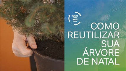 Sem desperdício: reaproveitando sua árvore de Natal