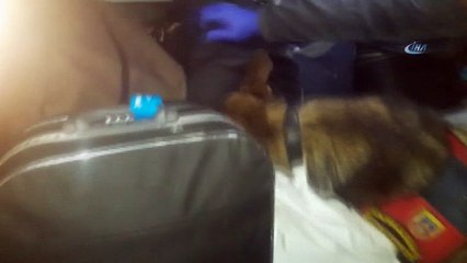 Yolcu otobüsünde 3 kilo esrar ele geçirildi