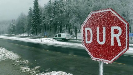 Bolu Dağı'nda kar yağışı ve sis (2) - DÜZCE