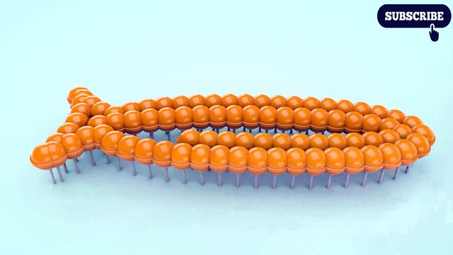 Learning Colors with Fish Shapes and 3D Lollipops for Kids #z Nursery Rhymes Songs for Children