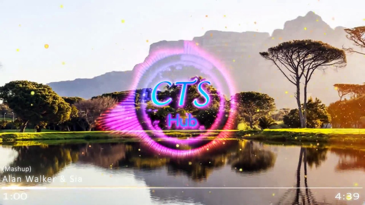 Sia & Alan Walker - Cheap Thrills, Airplanes, Alive, Faded (feat. Hayley Williams, B.o.B, Sean Paul)