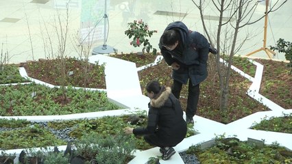 [대전·대덕] '계절을 앞서 만나는 우리 야생화 전시회' / YTN