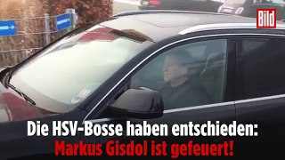 HSV feuert Gisdol  „Ich hätte gerne weitergemacht“