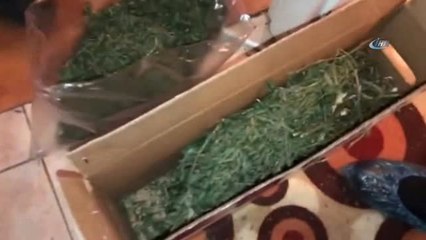 Uyuşturucu İmalatı İçin Seraya Çevrilen Eve Düzenlenen Operasyon Kamerada