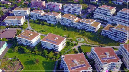 A louer - Appartement - La Tour-de-Peilz (1814) - 2.5 pièces - 59m²