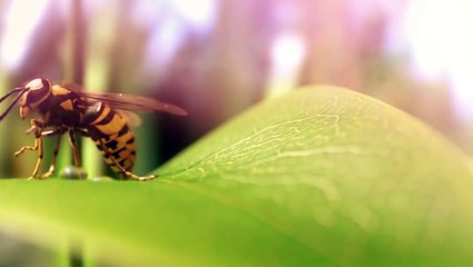 What if Collect Sunlight in One Beam