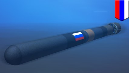 Moscow testing a 100-megaton torpedo nuke, says Pentagon