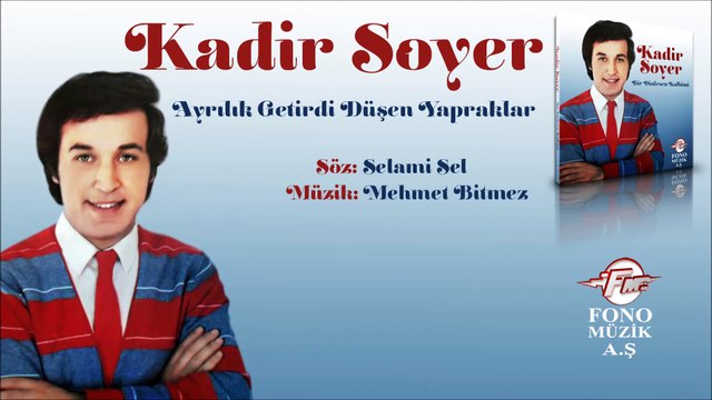 Kadir Soyer - Ayrılık Getirdi Düşen Yapraklar