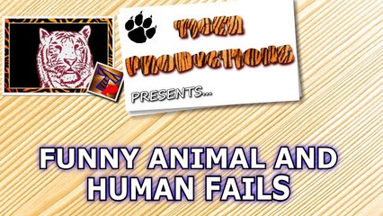 TRY NOT TO CRY out of LAUGHING - The BEST OF funny ANIMALS and FAILS