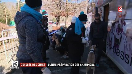 Feuilleton : l'Odyssée des cimes (3/5)