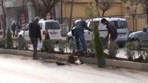 Siirt Belediyesinden Ağaçlandırma Çalışması