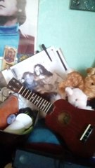 Carl Perkins & George Harrison & A Morning Song!
