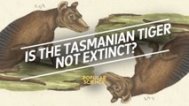 The Search for the Extinct Tasmanian Tiger