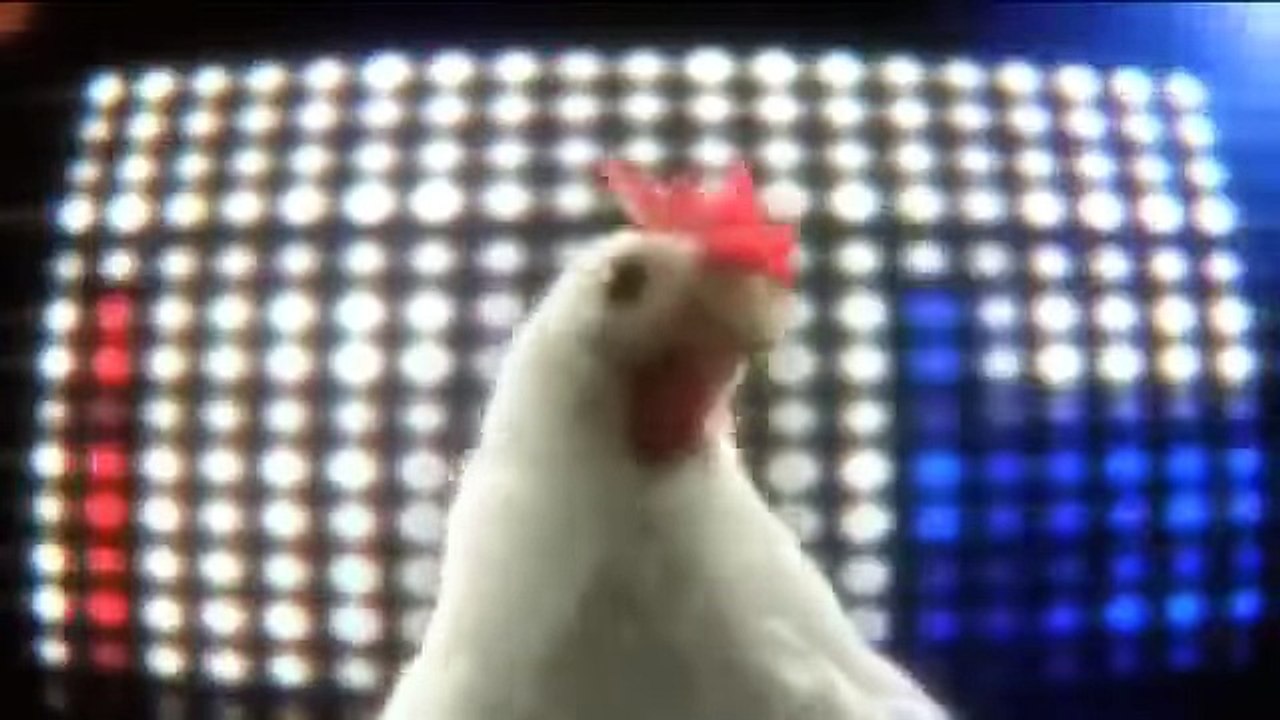 çok komik Tavuk şarkısı