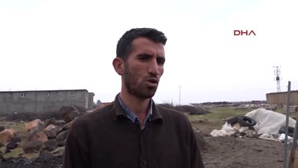 Şanlıurfa Siverek'te Kırsal Mahallede Kuduz Karantinası