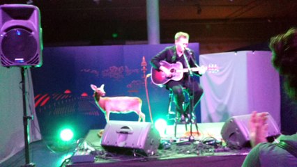 Sharko en concert au musée des sciences naturelles de Mons