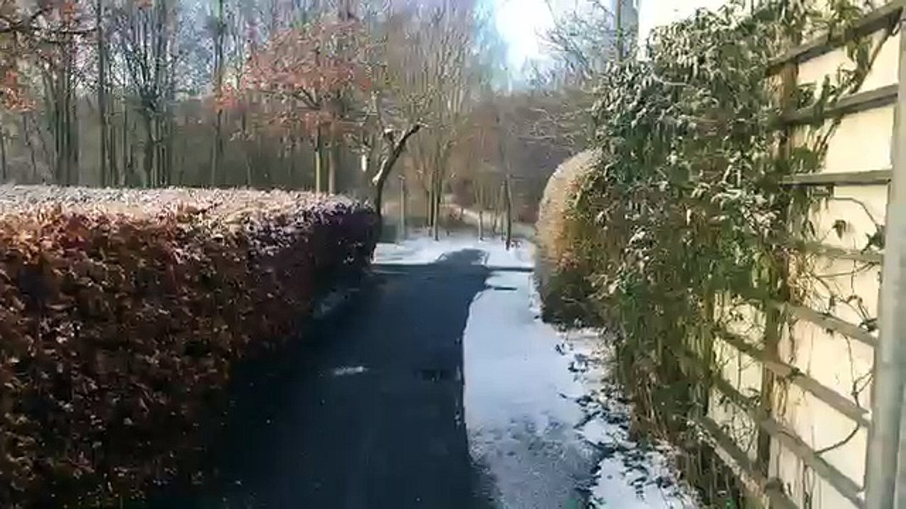 عالم النحل ،الثلج والنحل