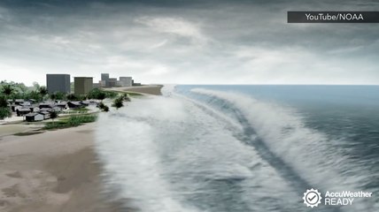 How to survive a tsunami