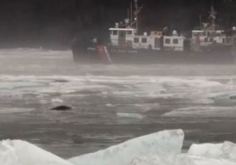 USCG Ice Cutters Break Up Problematic Ice Jam on Connecticut River