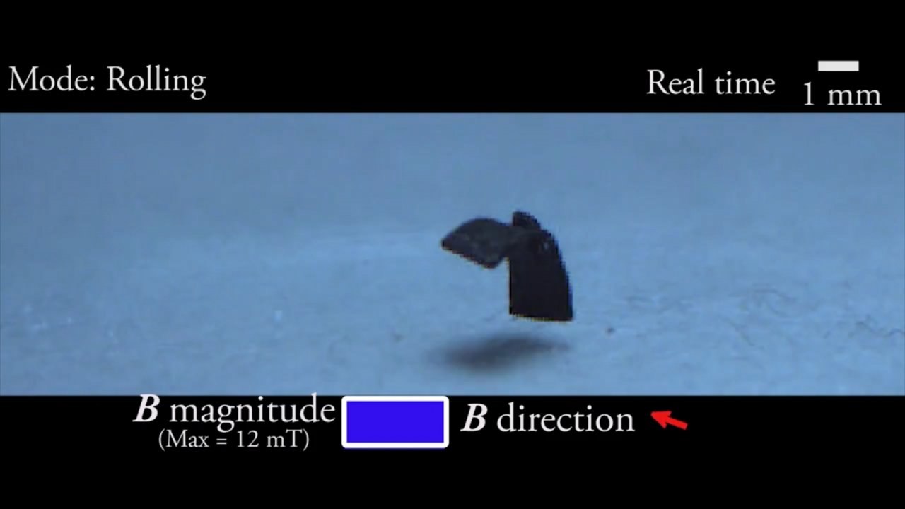This tiny robot can walk, crawl and hop across...