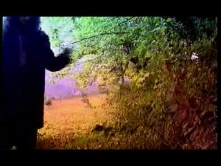 Murat Yılmazyıldırım - Nazan Öncel - Güller Topladım Saçlarından (Official Video)