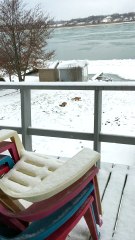 Cute Fox Catches a Mouse for It's Mate