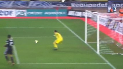 Bertrand Traore Goal HD -  Monaco	1-1	Lyon 24.01.2018