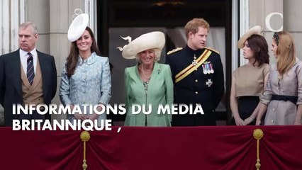 Pourquoi la princesse Eugénie va-t-elle devoir repousser son mariage