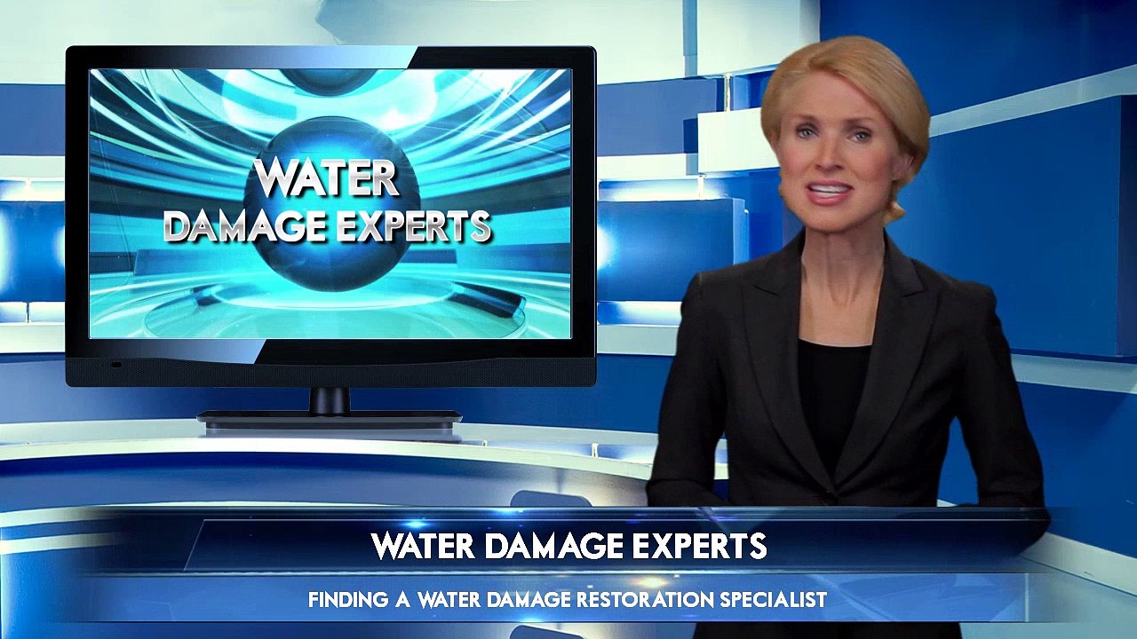 Michael Chiaramonte Of Supraclean Water Damage Specialists: Brilliant Recommendations On How To Locate A Trustworthy Water Damage Restoration Services