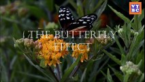 The Butterfly Effect 2 2006 Official Trailer Vo Hq