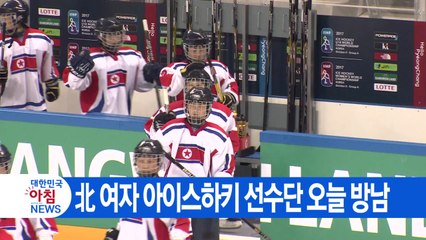 [YTN 실시간뉴스] 北 여자 아이스하키 선수단 오늘 방남 / YTN