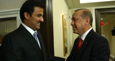 Cumhurbaşkanı Erdoğan, Katar Emiri ile Zeytin Dalı Harekatını Görüştü