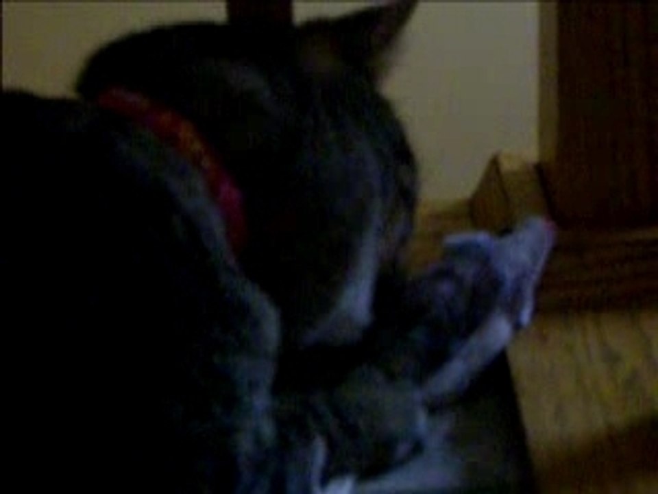 gamine ma grosse mimine